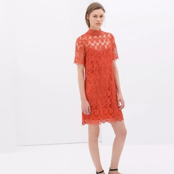 Zara Dresses Zara Burnt Orange Laced Dress Poshmark